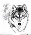 wolf tattoo art